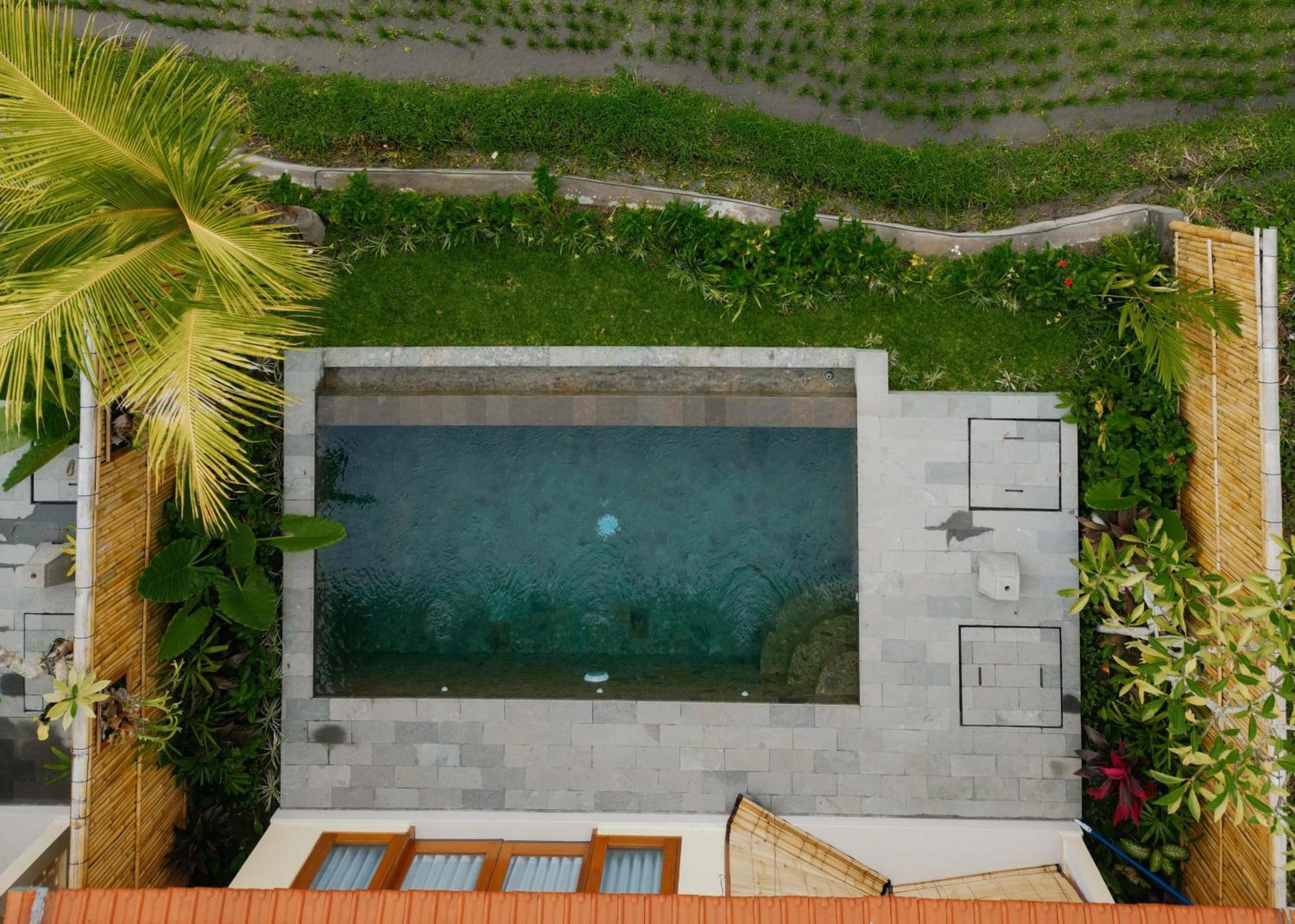 Uma Rimbun Pool Villa By Uniquecations Ubud Eksteriør billede