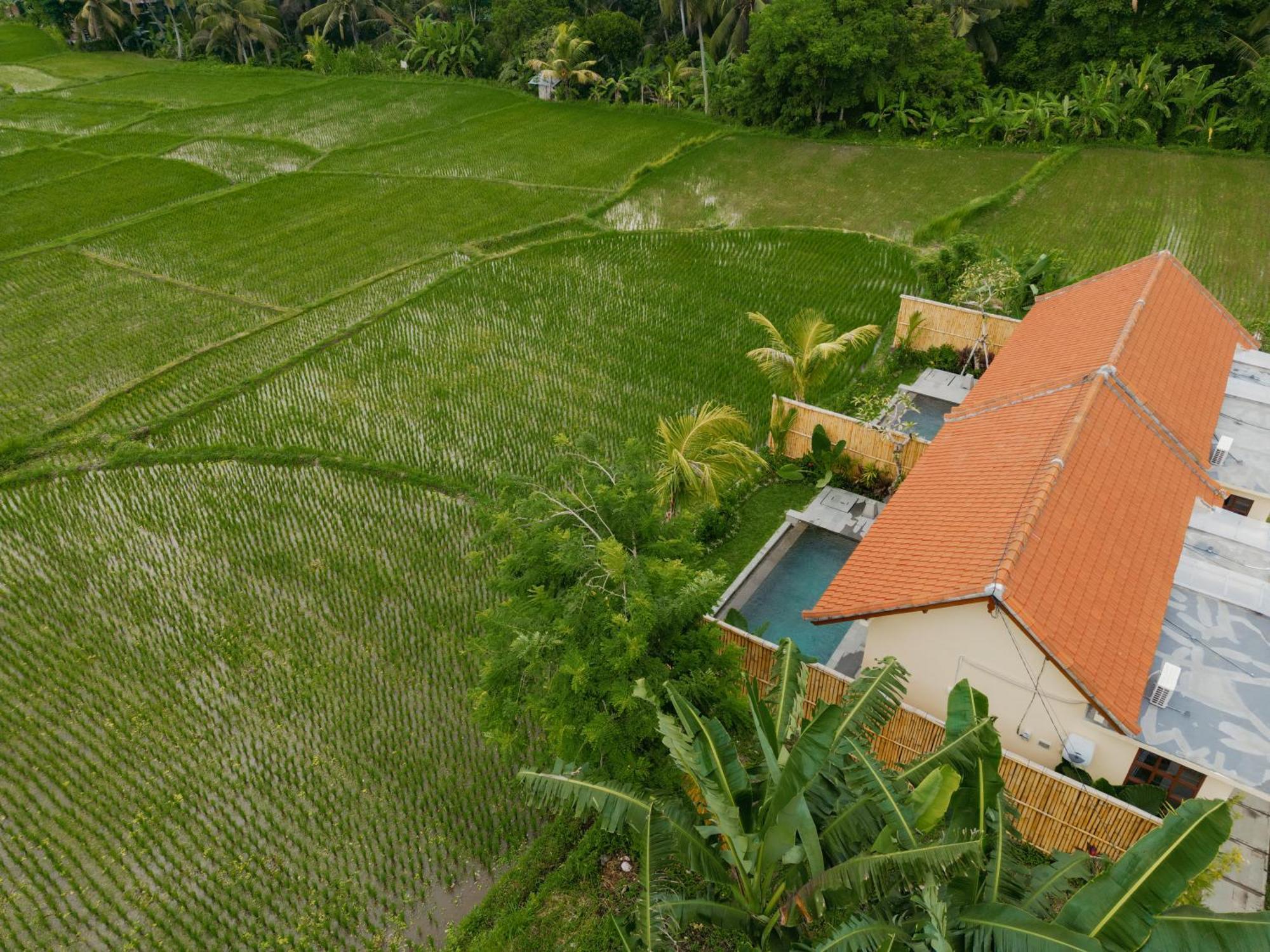 Uma Rimbun Pool Villa By Uniquecations Ubud Eksteriør billede